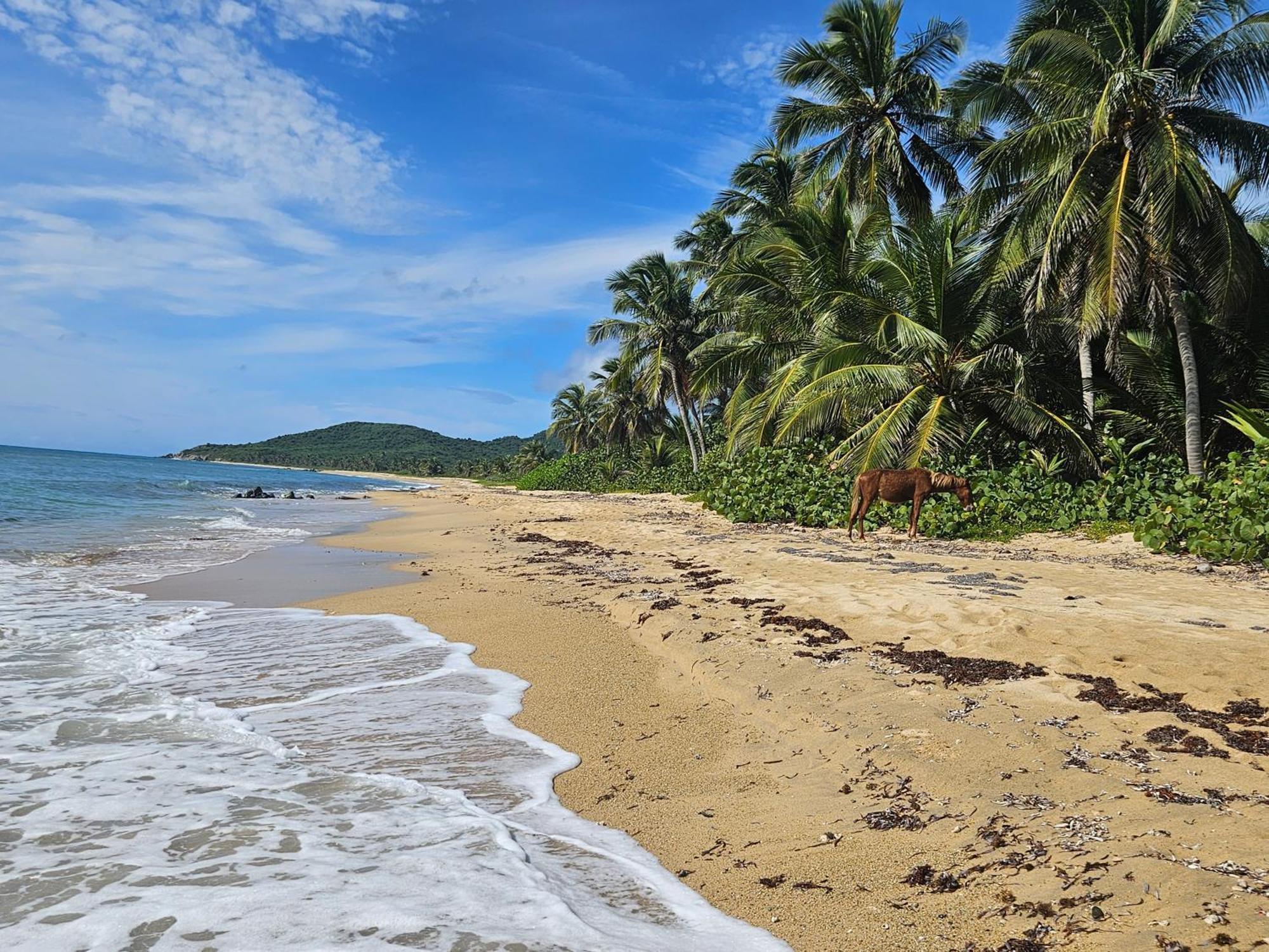 Villa Casa Aramana Vieques Esterno foto