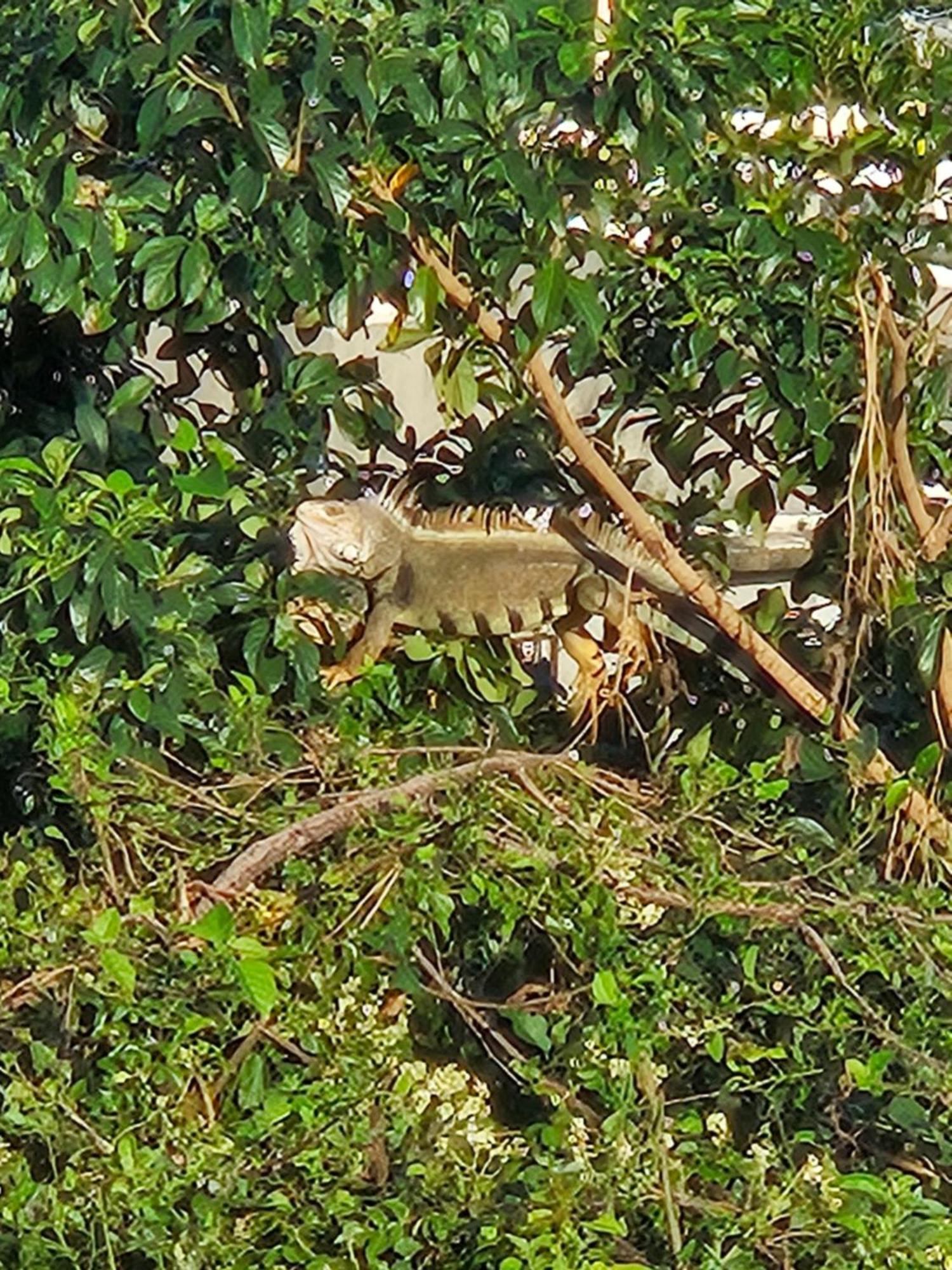 Villa Casa Aramana Vieques Esterno foto